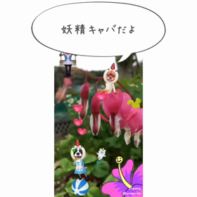妖精キャバの画像