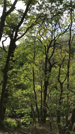人生！辛い時こそ上を向くの記事動画