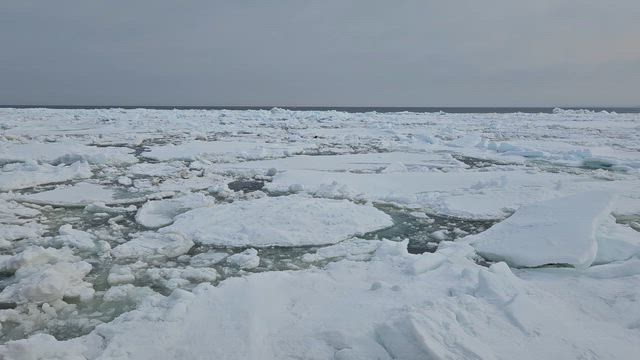 【日本旅行】３月だけど流氷見れたの記事動画