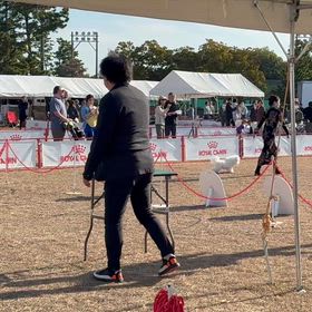三重県クラブ連合会展の画像