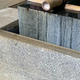 水を飲む蜂さんたちの画像