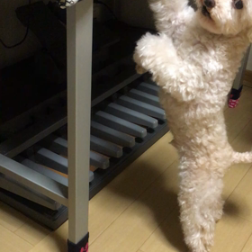 ボクも習いたい⁈の画像