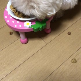 1週間ぶりのご飯の画像