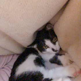 フミフミ　その①の画像