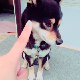 ハプニングの画像