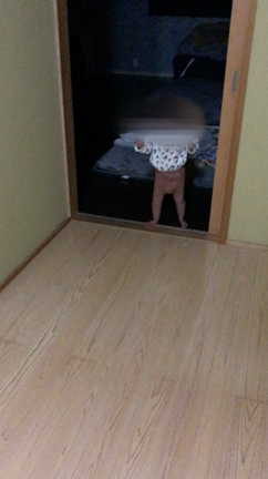 以前に比べての記事動画