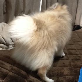 家が〜〜〜の画像