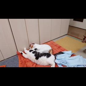 2024/04/03の画像