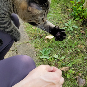 あんちゃんが可愛くての画像