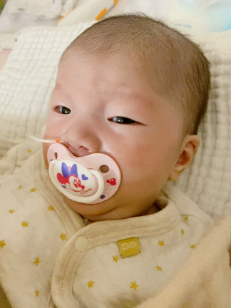 あのんちゃん　1ヶ月目の月命日の記事動画