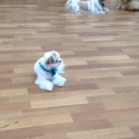 初動画(o^^o)の画像