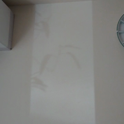 新コロナウイルスと天気の子の記事動画