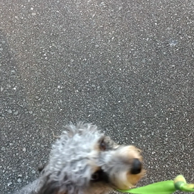 進歩の画像
