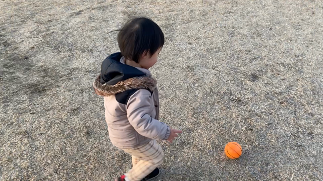 親バカ(*´-`)の記事動画