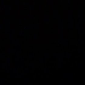 関西のおじさんになってしまった節子。の画像