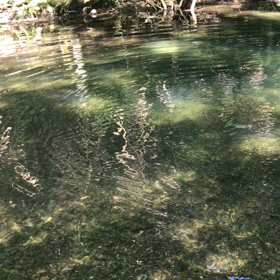 八王子北浅川Fishing♪の画像