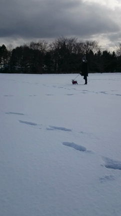 雪大好きの記事動画
