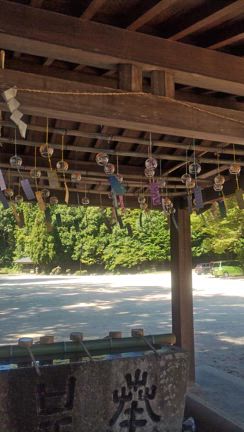 【パワースポット巡り】山陽道の交通の神様・速谷神社✨の記事動画