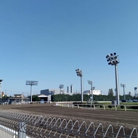 競馬？の画像