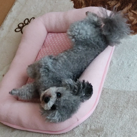 くねくね(*≧ω≦*)の画像