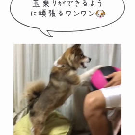 壱の習い事の画像