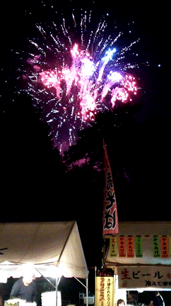 花火見てきました✨(*´-`)の記事動画