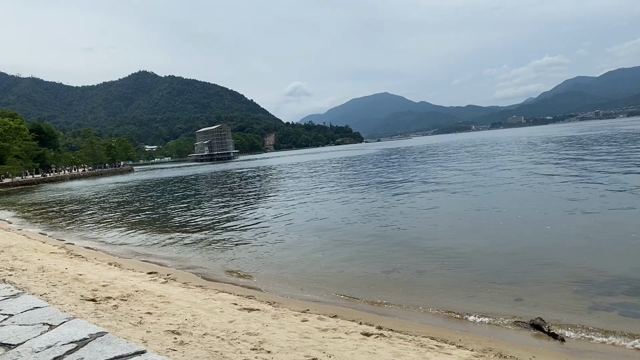 【癒しプレゼントあり】あなたの中にある嫌な過去が書き変わるときの記事動画