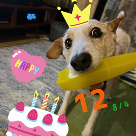 ハッピーバースデーの画像