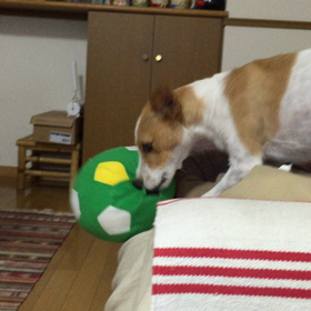 ストレス爆発！！の画像