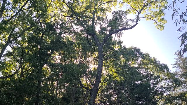 寒ッ?!の記事動画