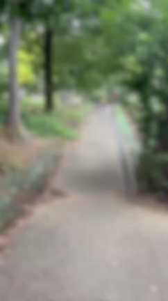 もうさーーー大怪我。の記事動画