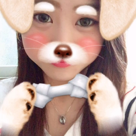 犬の画像