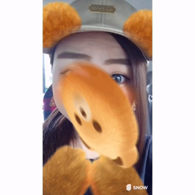 本日はクマさんの画像