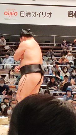 照強引退の記事動画