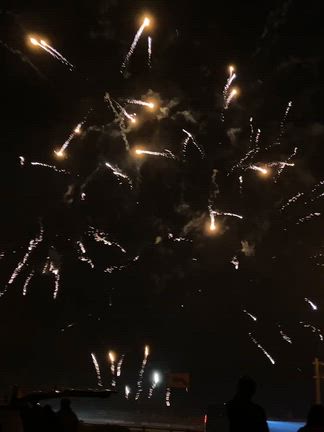 あけましておめでとうございますの記事動画