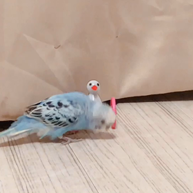 ★チューして♡   ※動画ありの画像