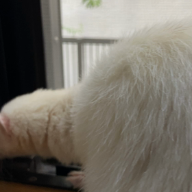 外の空気はいかがですか〜の画像