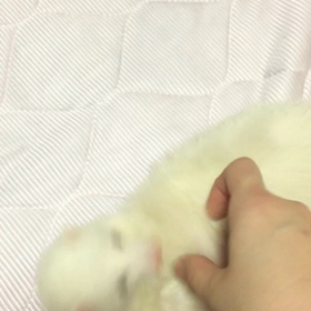 最近の杏ちゃんの画像
