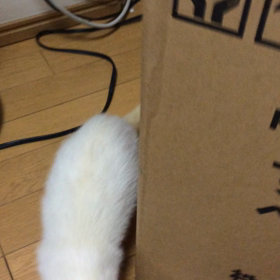 ウンチやわらかめの画像