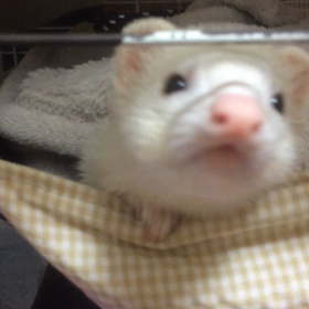 あけましておめでとうございます♡の画像