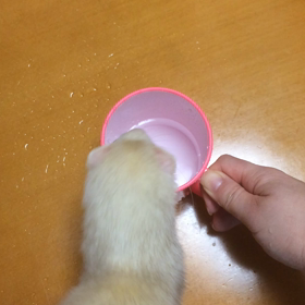 こんな行動しませんか？の画像