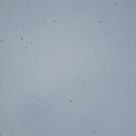 雪きた〜♡の画像