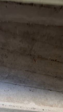 息子が1番喜んだことの記事動画