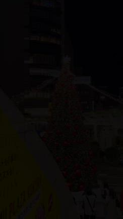 まるでデジャブ？な、クリスマスケーキ2025☆の記事動画