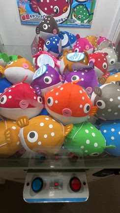 下関の回転寿司に行ってきた☆の記事動画