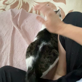 レディーの時間と改良が必要なおもちゃの画像