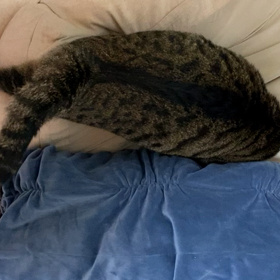 謎の動き？の画像