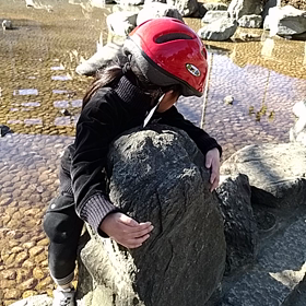 公園の画像