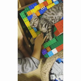 20170824の画像