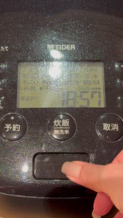 きのこの王様2026の記事動画